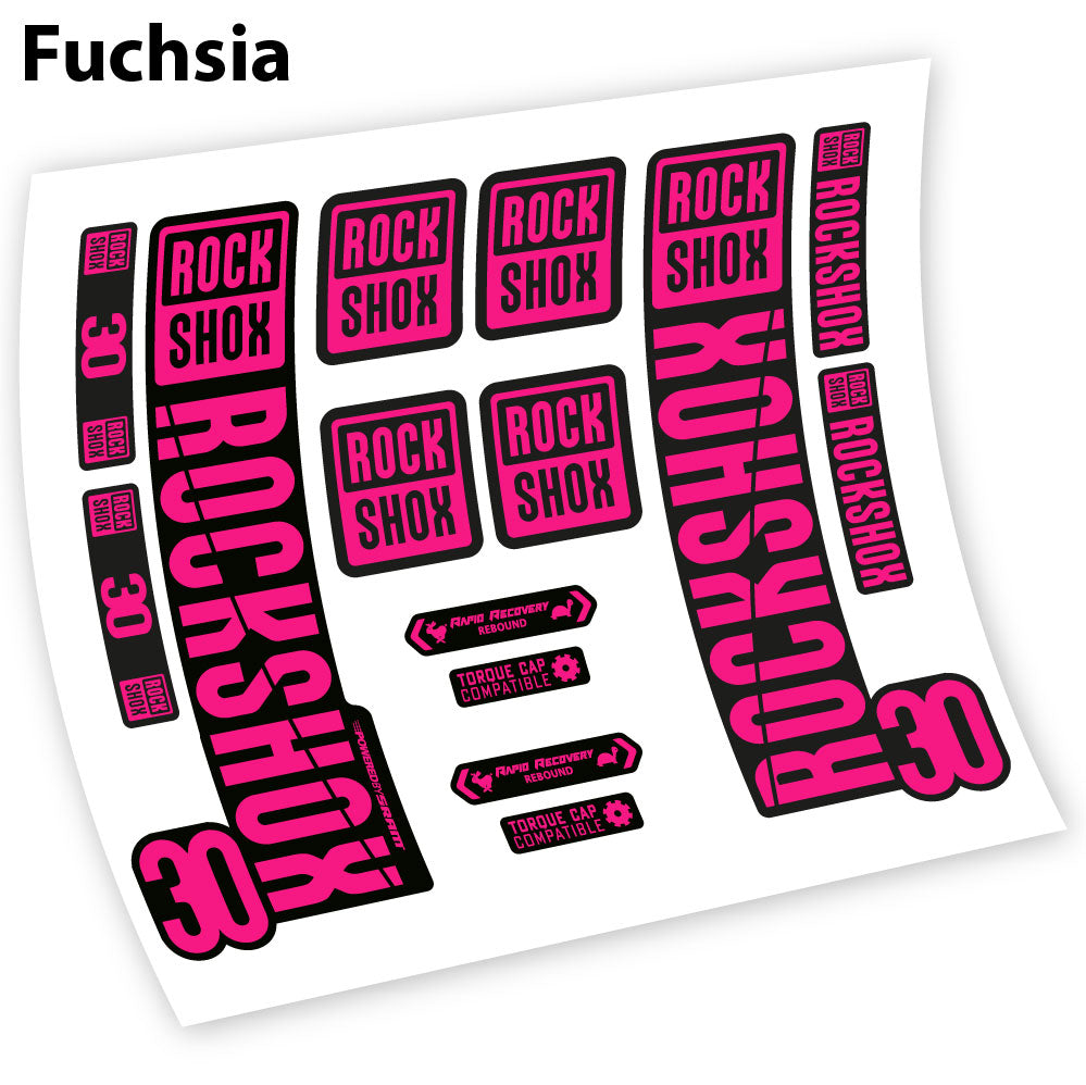 Adesivi Forcella Rock Shox 30 2019 in vinile