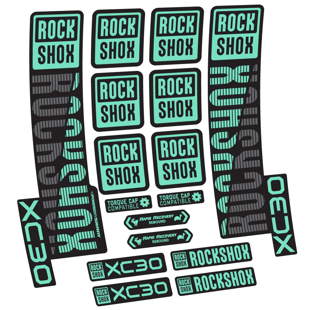 Adesivi Forcella Rock Shox XC30 29" in vinile