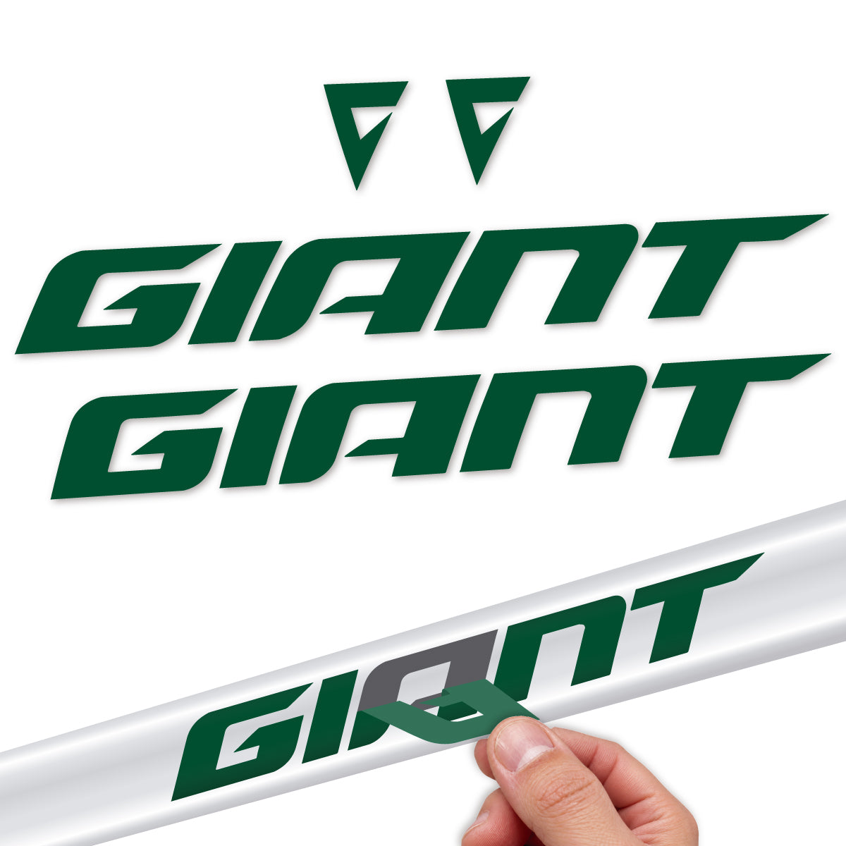 Adesivi Telaio Giant TCR 2025-2026 in vinile - Verde Scuro