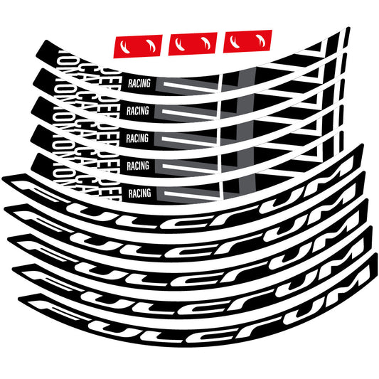 Adesivi Cerchi MTB Fulcrum Racing 700 db in vinile
