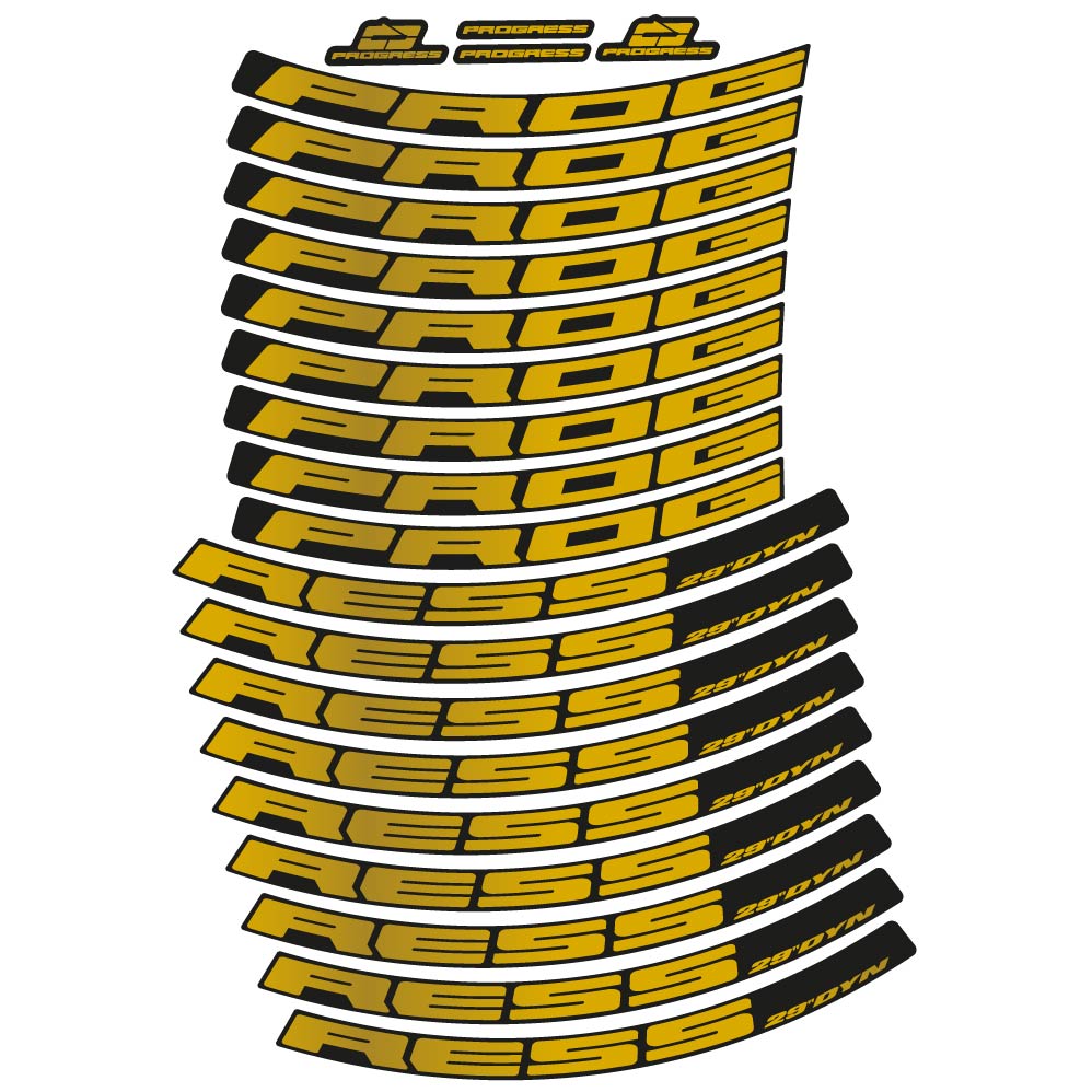 Adesivi Cerchi MTB Progress DYN 2020 in vinile