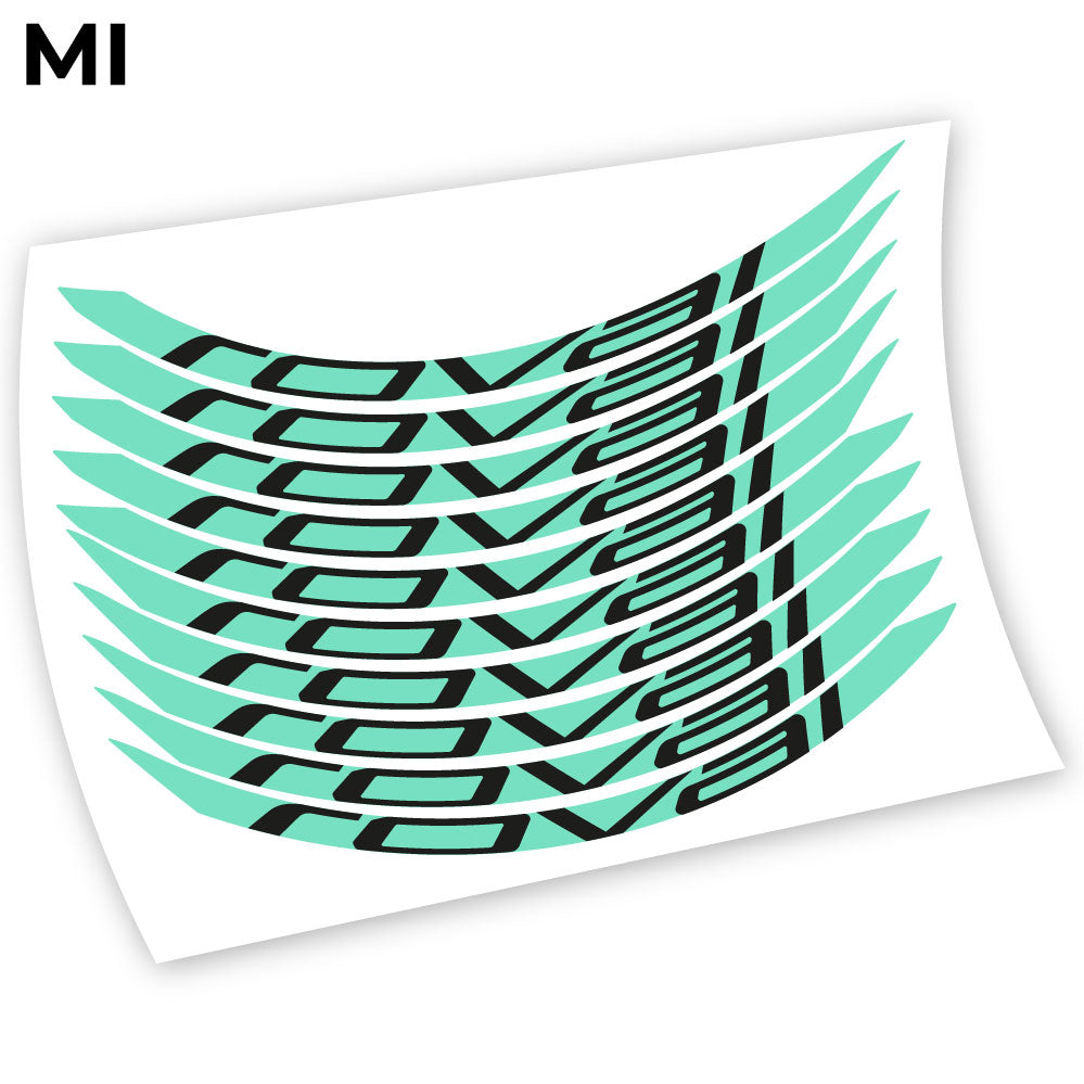 Adesivi Cerchi MTB Roval Control Carbon 2018 Ver.2 in vinile - Verde Menta