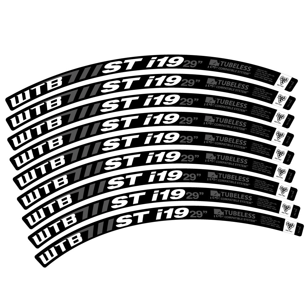 Adesivi Cerchi MTB WTB ST i19 in vinile