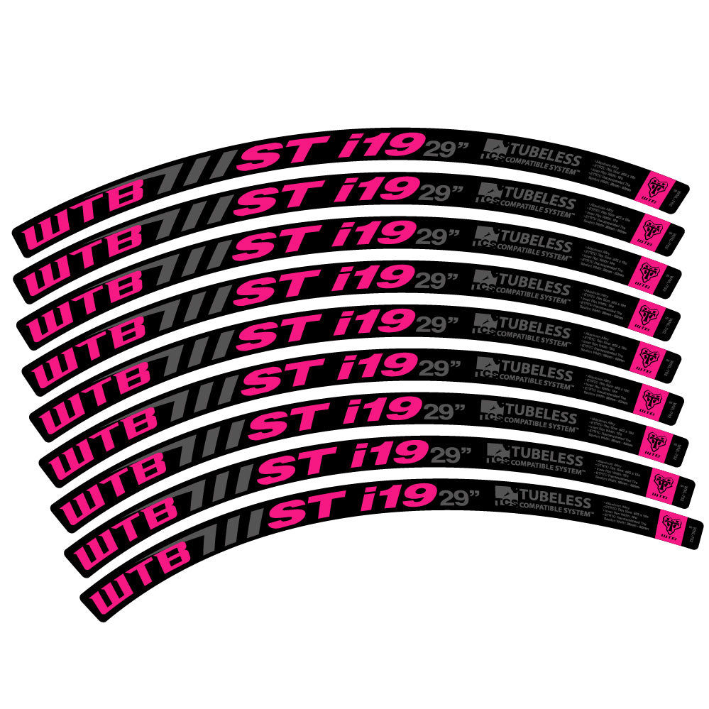 Adesivi Cerchi MTB WTB ST i19 in vinile