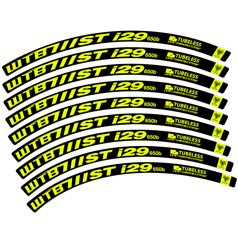 Adesivi Cerchi MTB WTB ST i29 in vinile