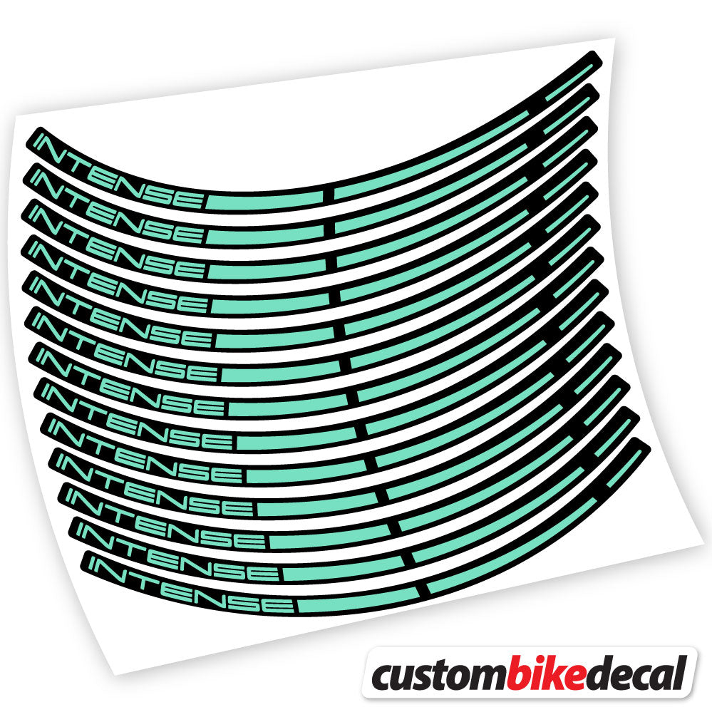 Adesivi Cerchi MTB Intense in vinile - Verde Menta