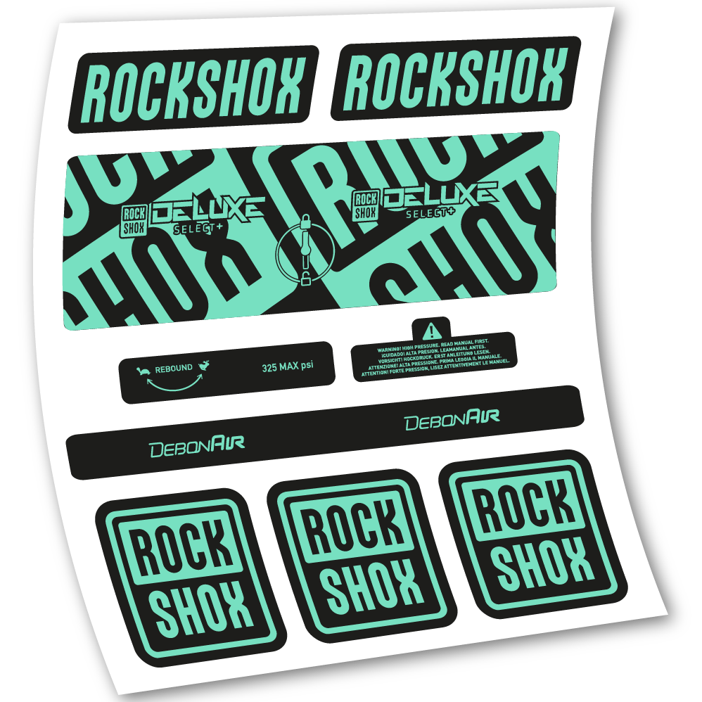 Adesivi Ammortizzatore Rock Shox Deluxe Select+ in vinile