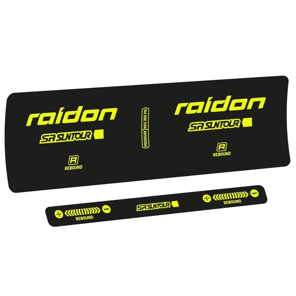 Adesivi Ammortizzatore SR Suntour Raidon R 2020 in vinile