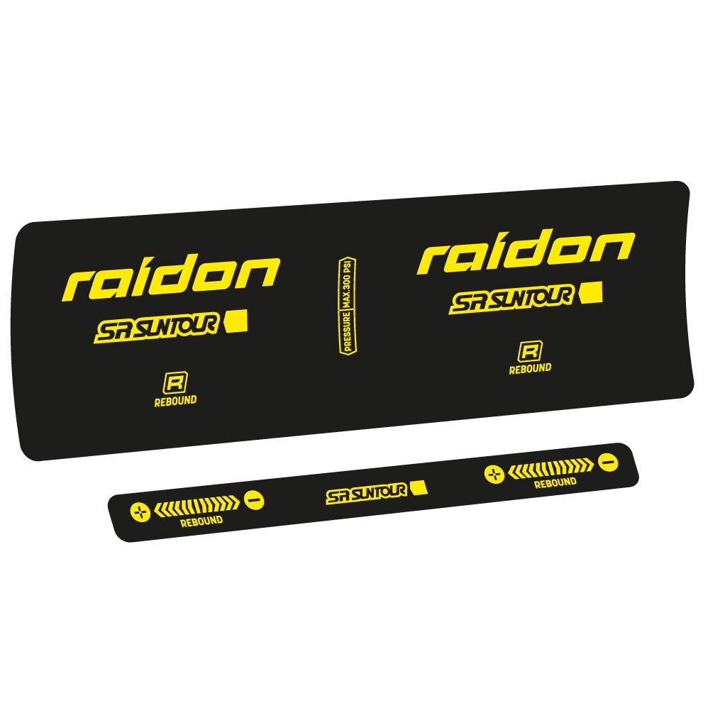 Adesivi Ammortizzatore SR Suntour Raidon R 2020 in vinile