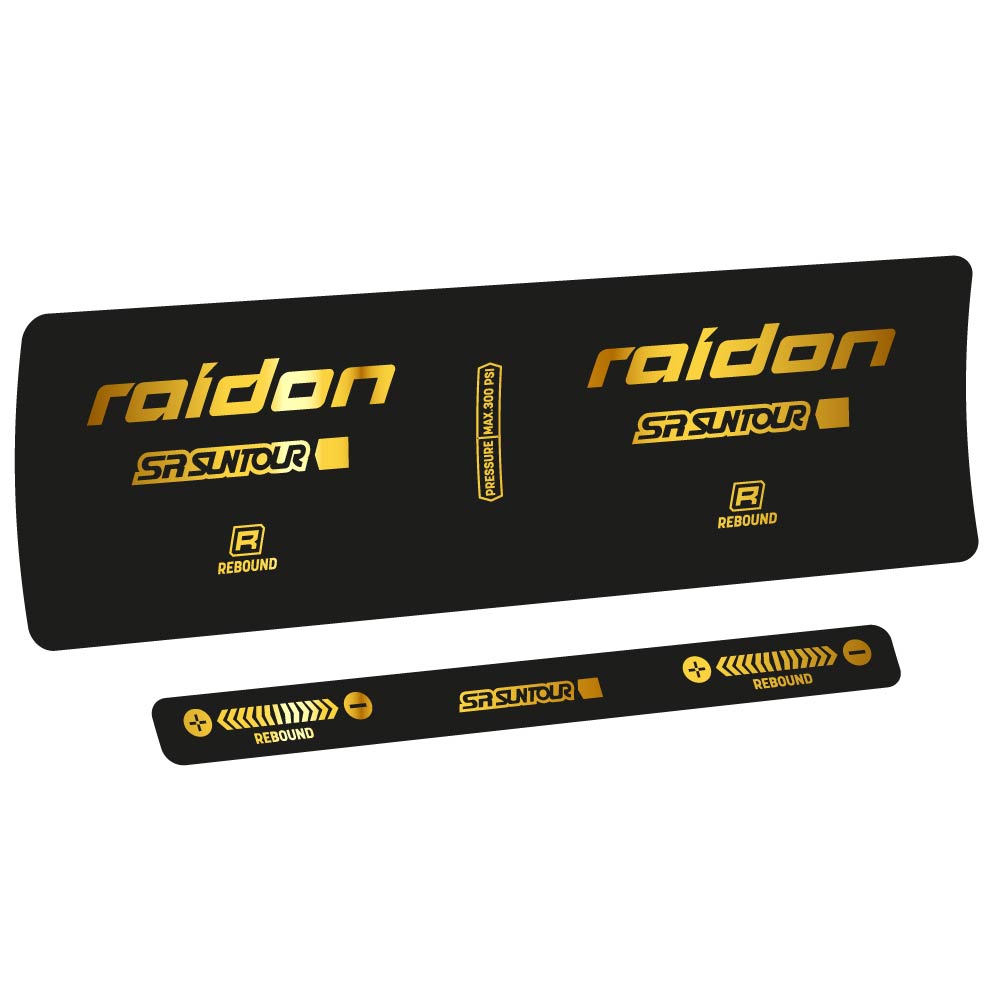 Adesivi Ammortizzatore SR Suntour Raidon R 2020 in vinile