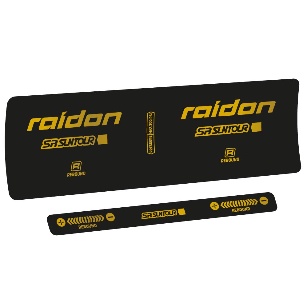 Adesivi Ammortizzatore SR Suntour Raidon R 2020 in vinile