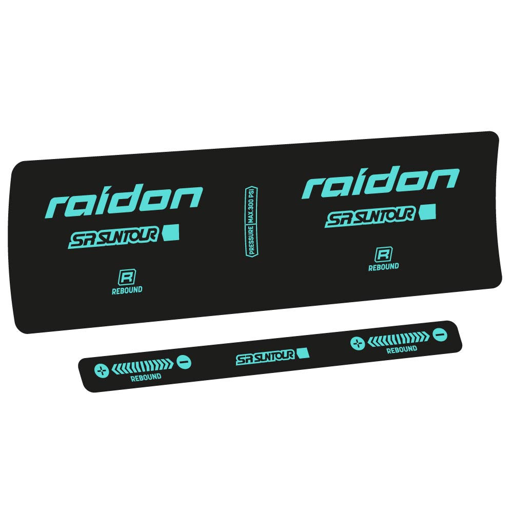 Adesivi Ammortizzatore SR Suntour Raidon R 2020 in vinile