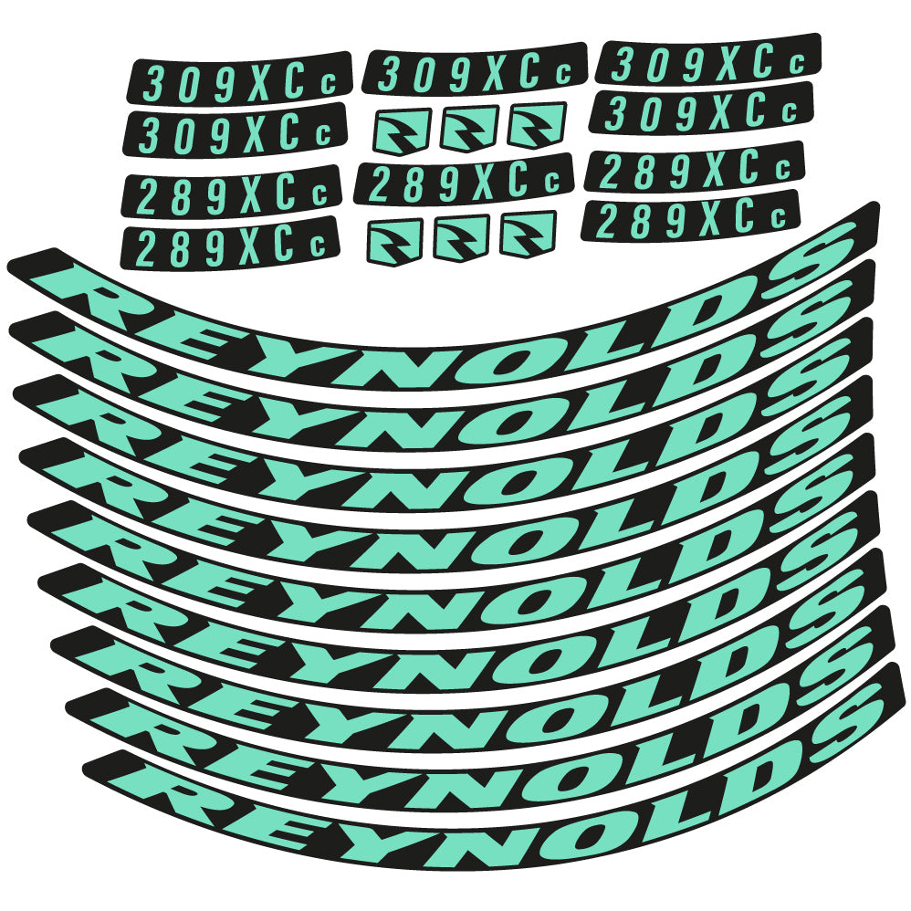 Adesivi Cerchi MTB Reynolds 309XCc + 209XCc in vinile - Verde Menta