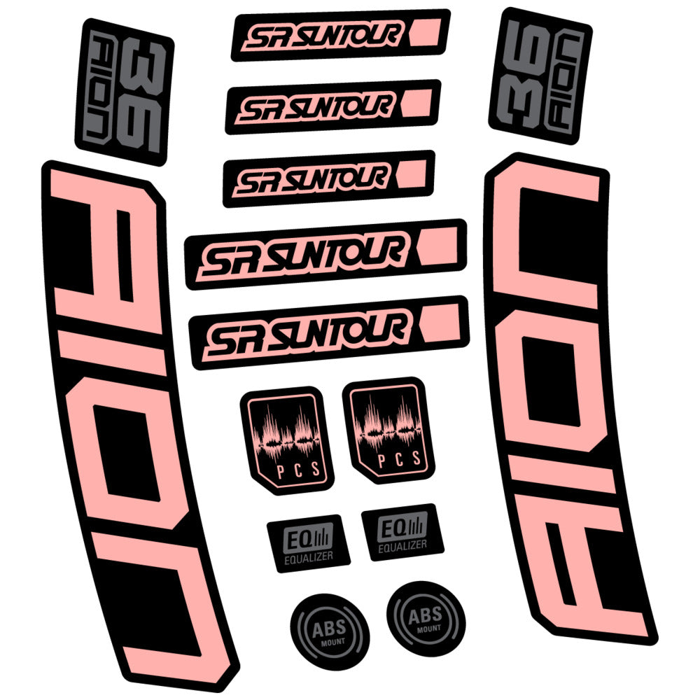 Adesivi Forcella SR Suntour Aion 36 Boost Grey 2025 in vinile